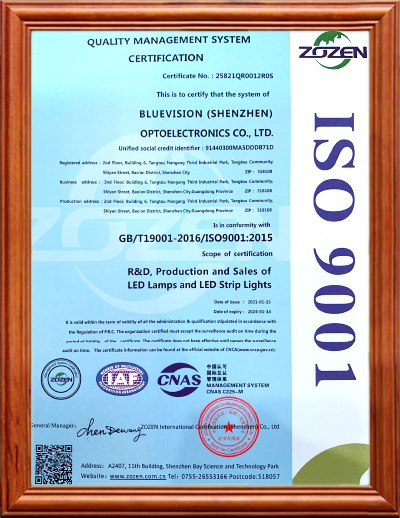ISO 9001 2015 - BLUEVISION