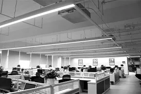 Pendant Linear Lighting
