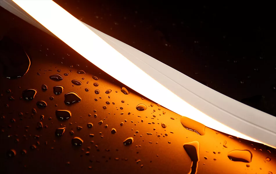 LED Neon Light
